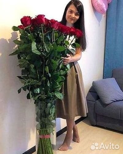 Высокие розы Гигантские Розы 150 160 170 180 190см