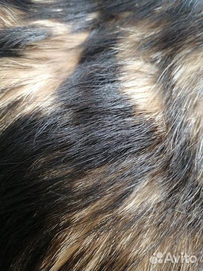 Шкурка на воротник, украшения