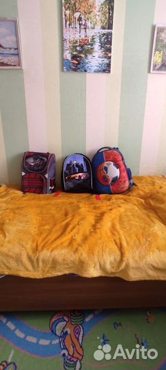 Портфели Пифагор,grizzly,Юнландия