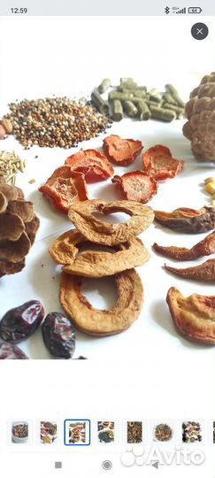 Копошилка для попугаев