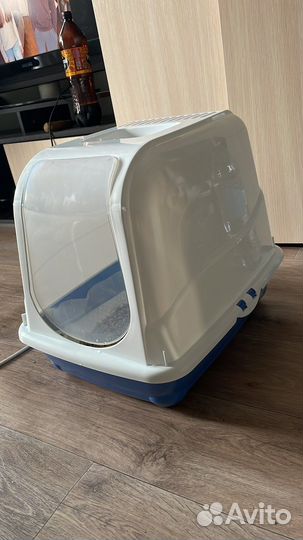 Котенок мальчик