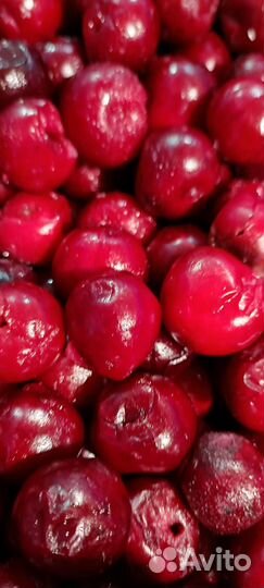 Вишня б/к 1 класс с/м коробка 10 кг (Сербия)