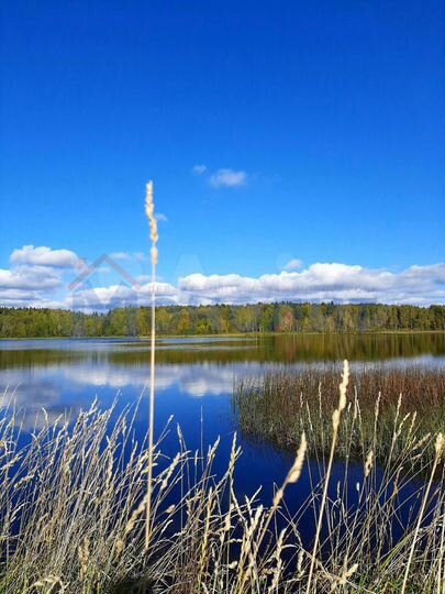 Дача 40 м² на участке 6,4 сот.