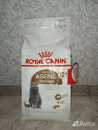 Корм для котов