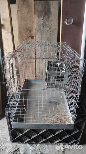 Клетка 50х35х40см для грызунов