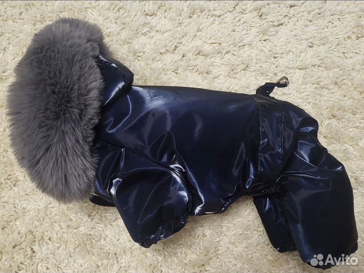 Зимний комбинезон для маленькой собачки