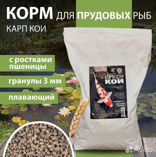 Корм для карпов кои и прудовой рыбы - bodapro