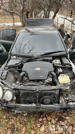 Корч Мерс 5.5