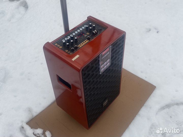 Портативная колонка караоке