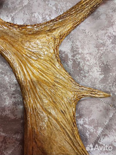 Рога лося на деревянном медальоне