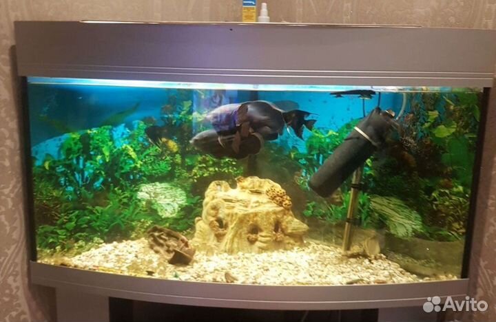 Аквариум с тумбой 130 литров