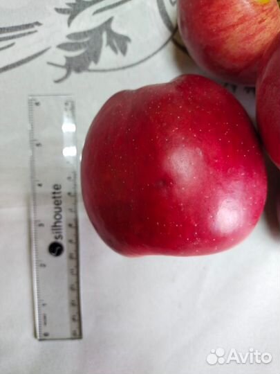 Продам яблоки опт, мелкий опт