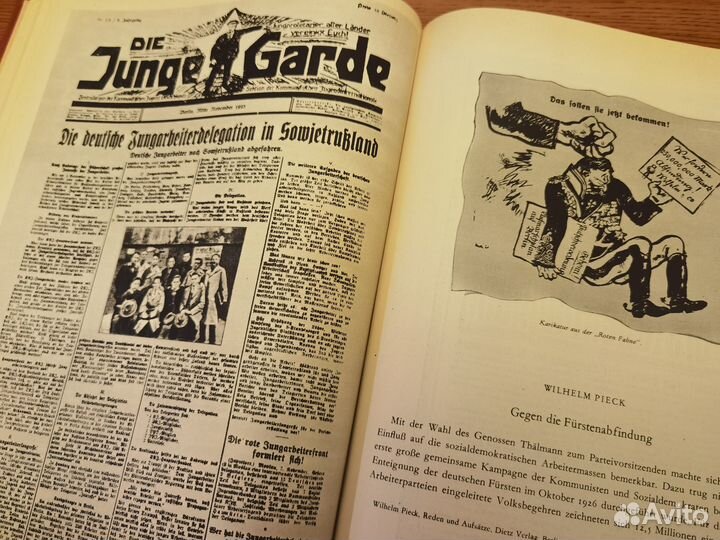 История рабочего молодежного движения в Германии