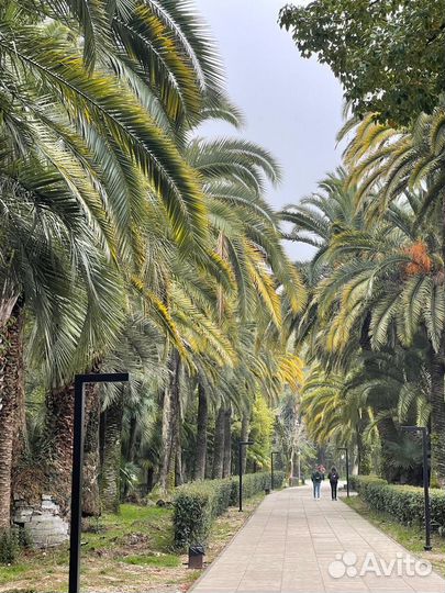 Абхазия ви тур