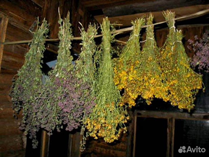 Лечебные травы сушеные - ромашка.полынь,пижма. тыс