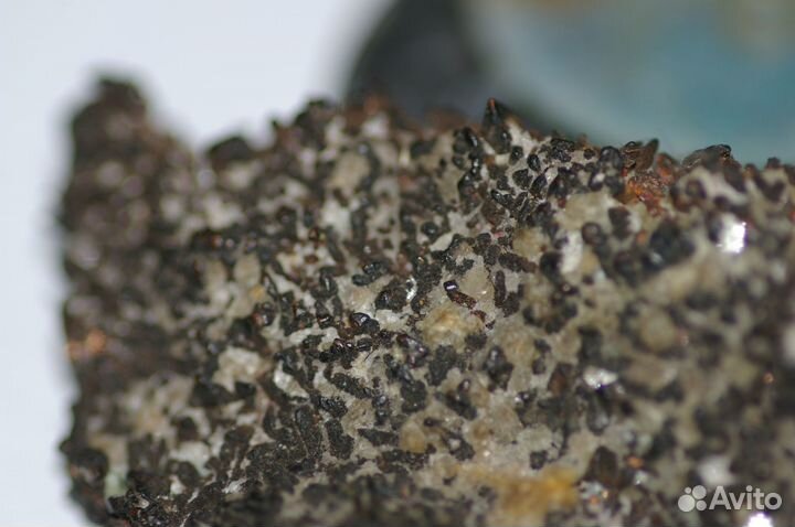 Медь самородная кристаллы Мичиган США элемент