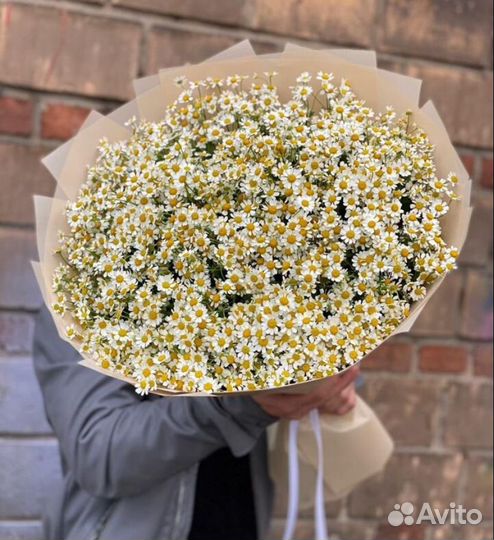 Ромашка букет гигант
