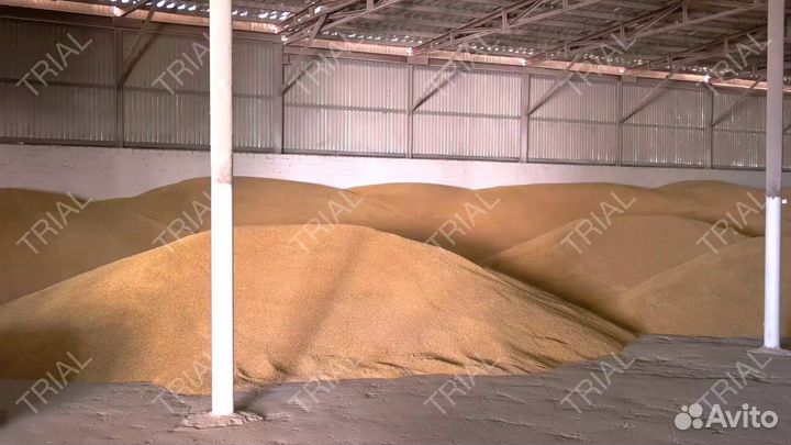 Зерно оптом