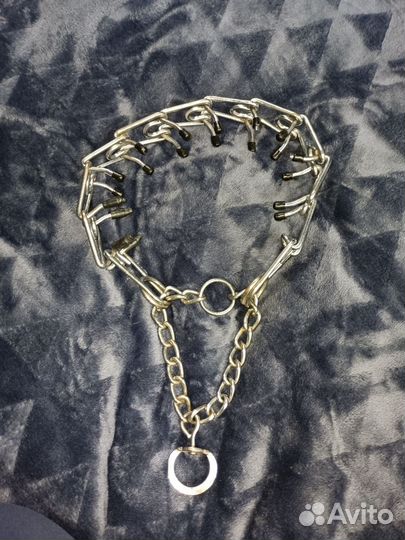 Строгие ошейники для собак