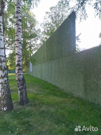 Зеленый забор/изгородь