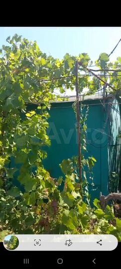 Участок 5 сот. (СНТ, ДНП)