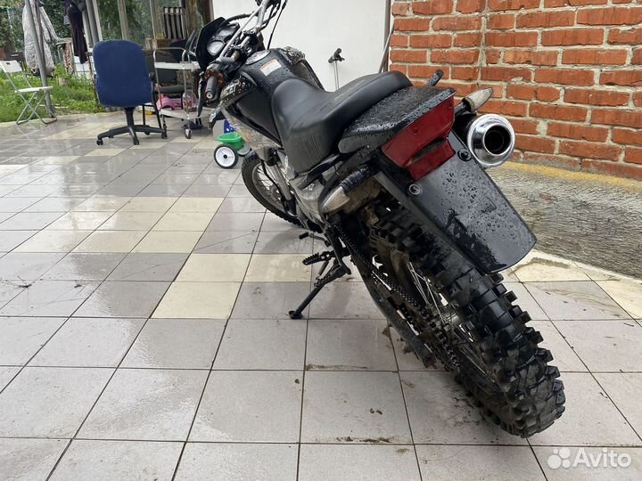 Рейсер пантер