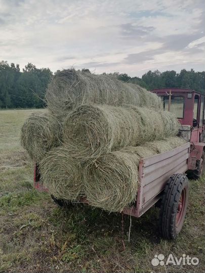 Сено в рулонах