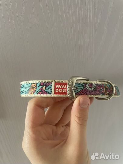 Ошейники и поводки для собак