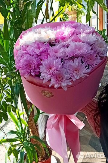 Букет из Хризантем