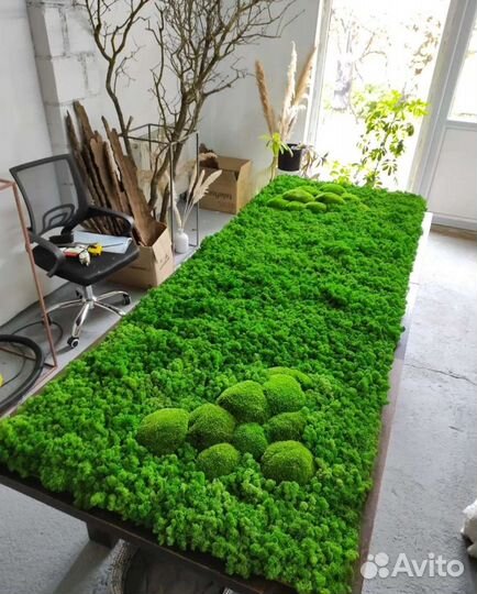 Панно из мха мох стабилизированный фитокартина