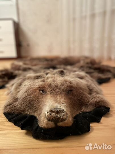 Шкура медведя