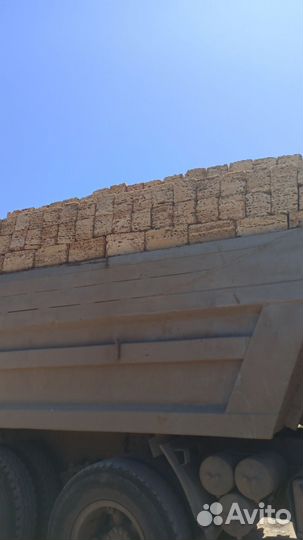 Доставим Ракушку 1сорта Некондицию (Бут) 2сорта