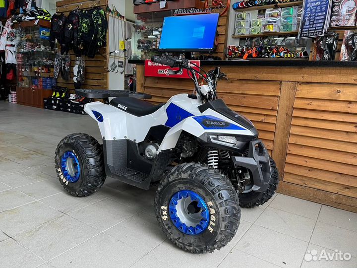 Комплект пластика (п) 110 eagle