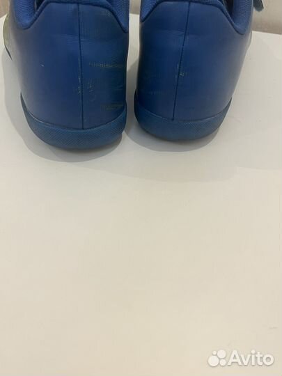 Сороконожки Dolphinsport