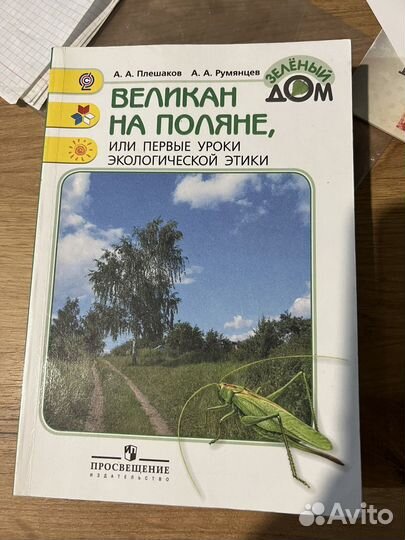 Великан на поляне