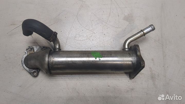 Охладитель отработанных газов Ford Transit 2014, 2