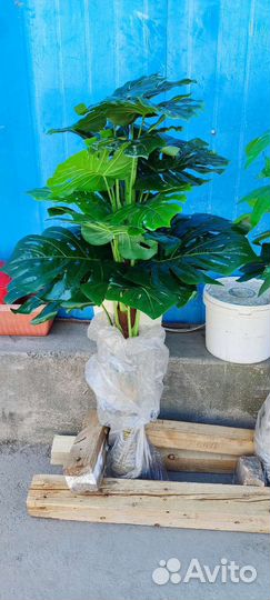 Искусственные цветы 170см