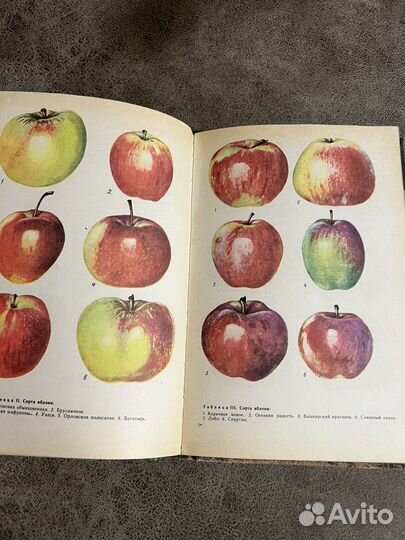 Азбука садовода: справочная книга Сергеев