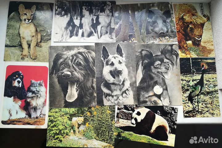 Почтовые открытки СССР. Возможна продажа по отдел