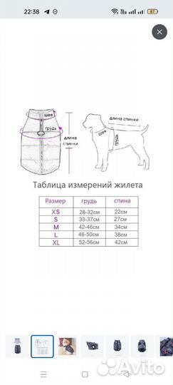 Жилетка для собак