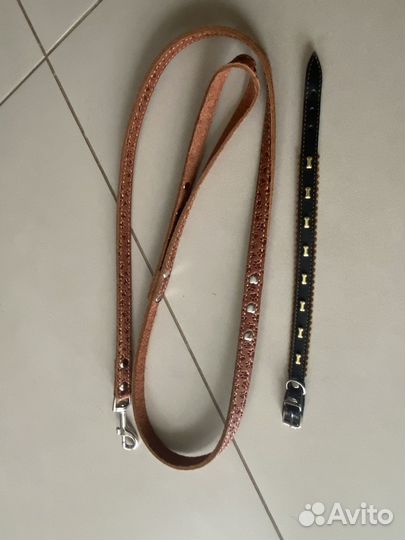 Поводок и ошейник для собаки