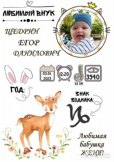 Метрика, прайс