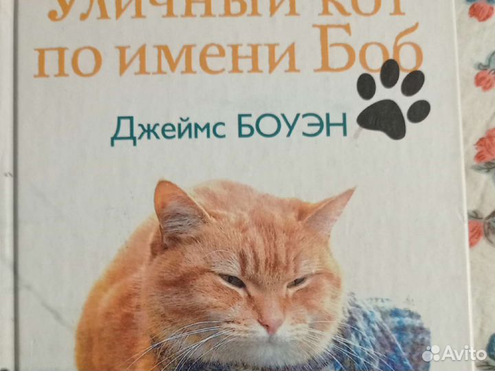 Уличный кот по имени боб