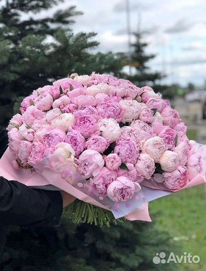 Пионы Букеты Цветы Доставка