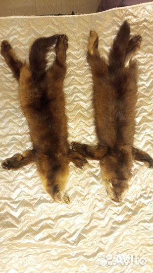 Шкурки норки
