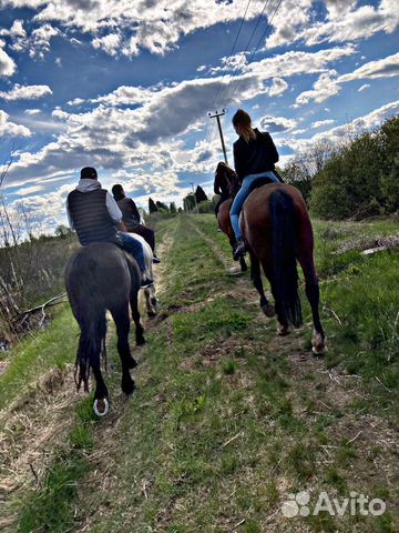 Конные прогулки