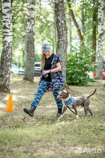 Услуги кинолога