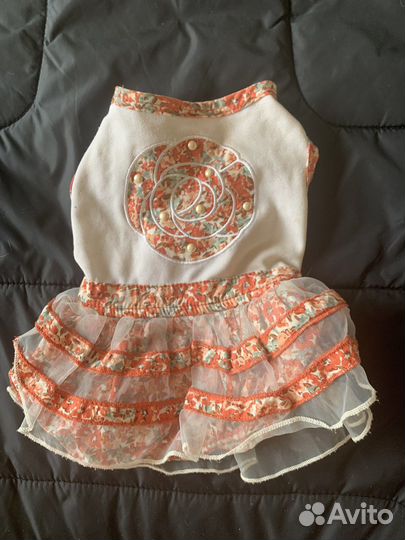 Одежда для маленьких пород собак