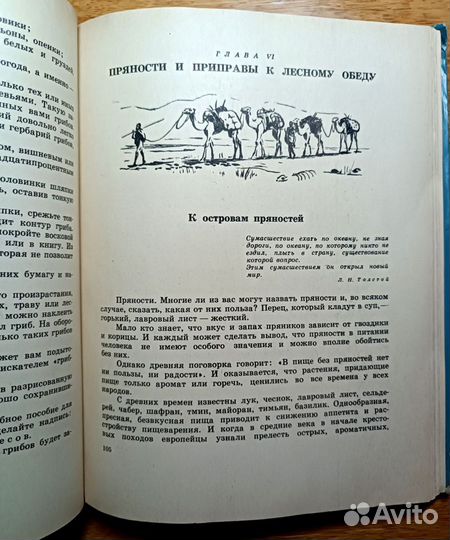 Верзилин Н. По следам Робинзона, 1974 г