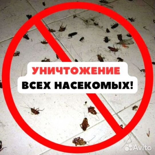 Обработка участка от Тли Клещей Комаров